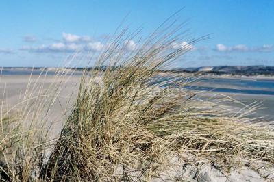 Miniature Location salle Le Touquet-Paris-Plage (Pas-de-Calais) - Le Grand Hôtel Le Touquet-paris-plage #8 Location salle Le Touquet-Paris-Plage (Pas-de-Calais) - Le Grand Hôtel Le Touquet-paris-plage #13