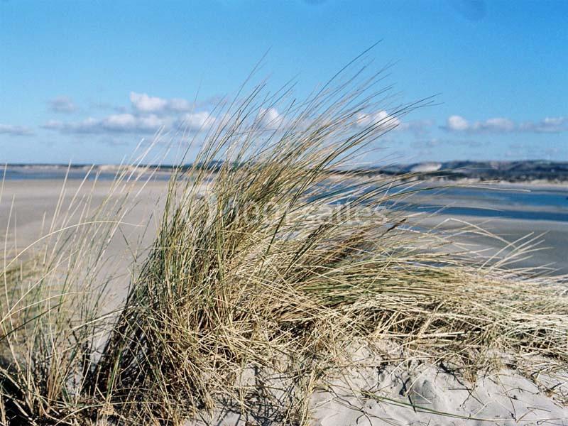 Location salle Le Touquet-Paris-Plage (Pas-de-Calais) - Le Grand Hôtel Le Touquet-paris-plage #8