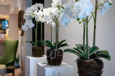 Miniature Location salle Auray (Morbihan) - Best Western Auray le Loch #2 Location salle Auray (Morbihan) - Best Western Auray le Loch #4