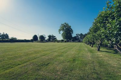 Vue d'un jardin avec pelouse, arbres, bancs rouges et une statue au centre, sous un ciel dégagé.