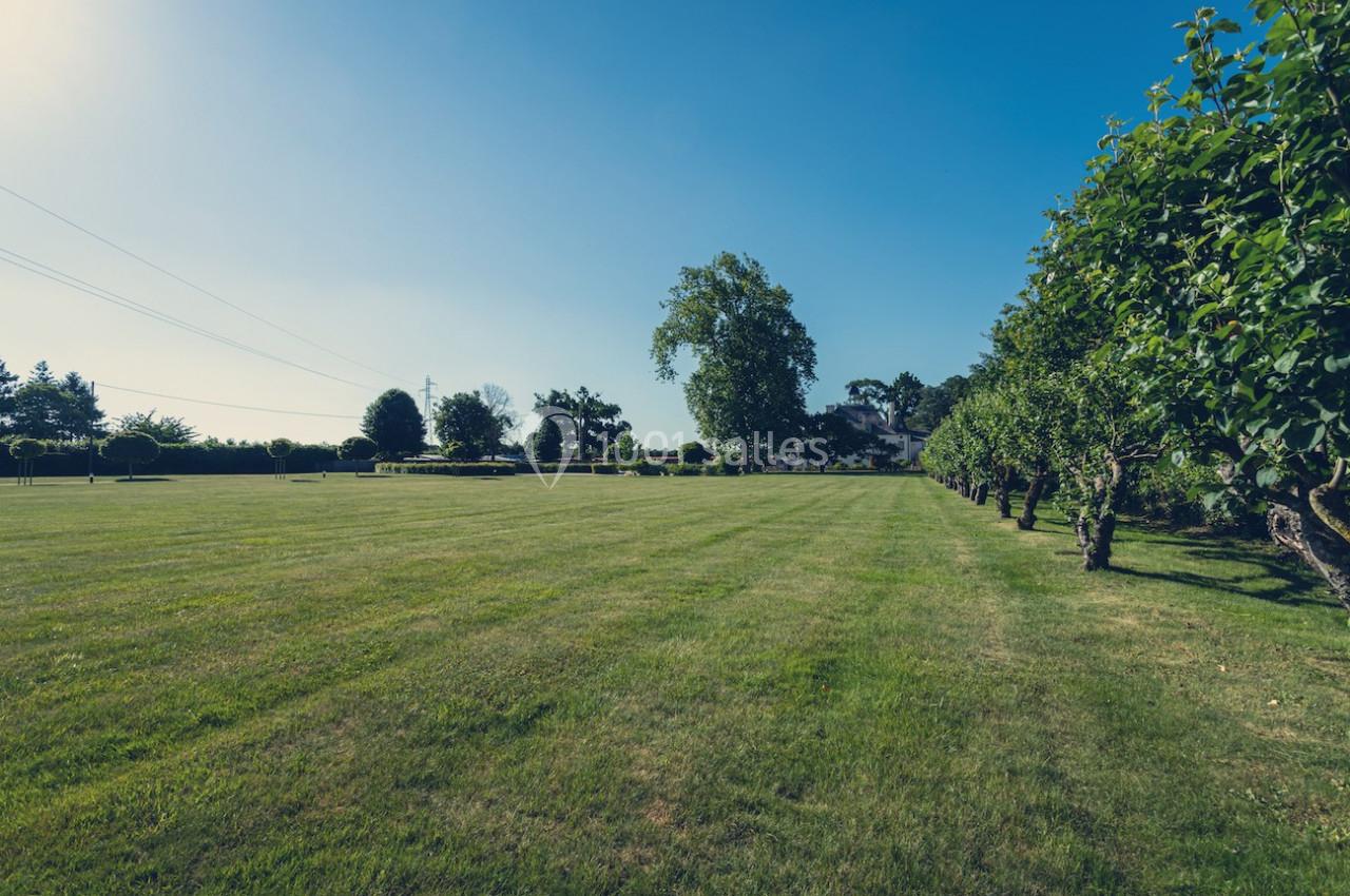 Grand espace de pelouse bien entretenue bordé d'arbres alignés sous un ciel dégagé.