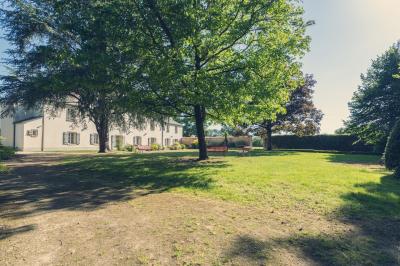 Vue d'un jardin avec pelouse, arbres, bancs rouges et une statue au centre, sous un ciel dégagé.