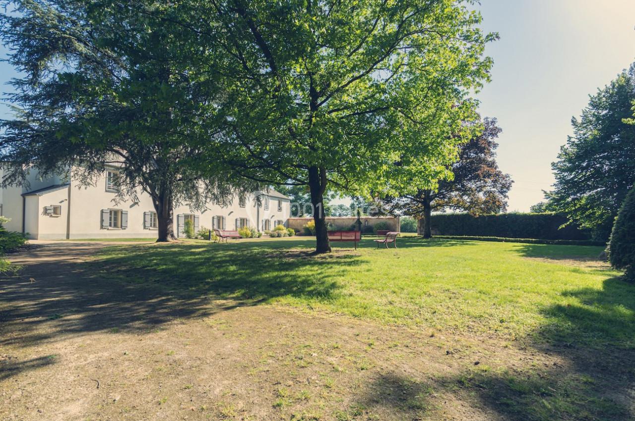 Jardin verdoyant avec pelouse, grands arbres et une maison blanche en arrière-plan sous un ciel clair.