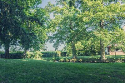 Chambre lumineuse avec lit, canapé, télévision murale, bureau et grande fenêtre avec rideaux rouges.