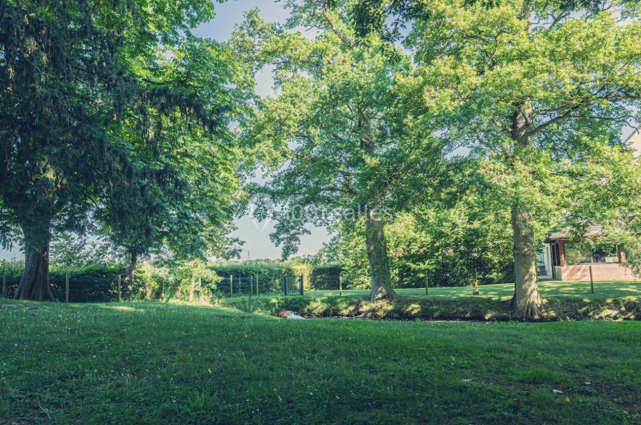 Pelouse verdoyante bordée d'arbres sous un ciel dégagé, avec une maison visible en arrière-plan.