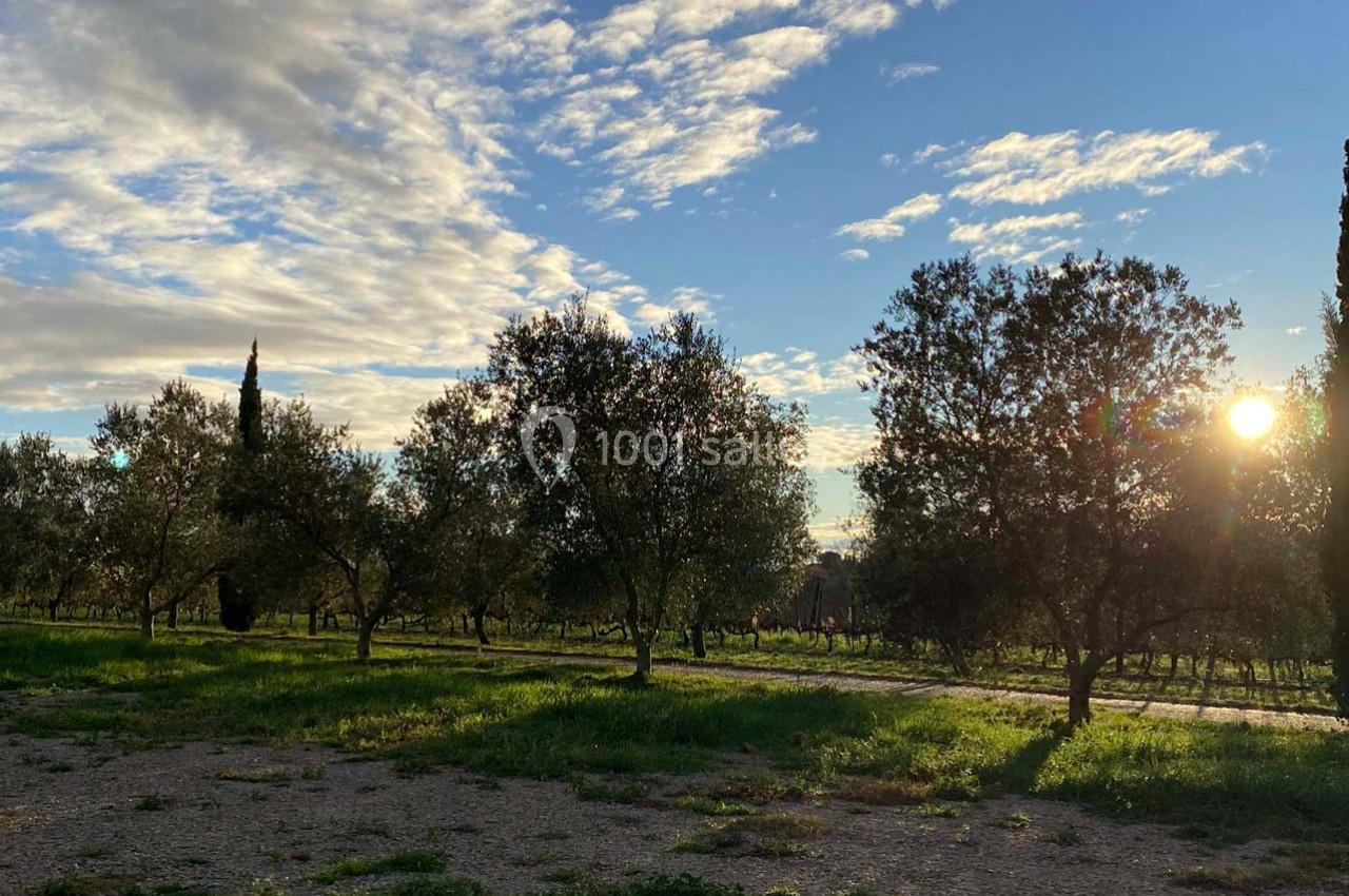 Location salle Saint-Christol (Hérault) - Chateau des Hôspitaliers #11