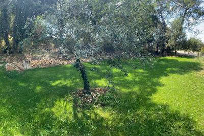 Location salle Saint-Christol (Hérault) - Chateau des Hôspitaliers #18