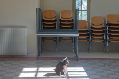 Miniature Location salle Annot (Alpes-de-Haute-Provence) - Le Pré Martin #18 Un chat assis dans un carré de lumière au sol, devant une pile de chaises empilées dans une pièce vide.
