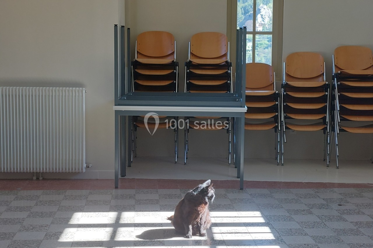 Un chat assis dans un carré de lumière au sol, devant une pile de chaises empilées dans une pièce vide.