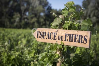 Miniature Location salle Châteauneuf-du-Pape (Vaucluse) - Espace De L'hers #3 Location salle Châteauneuf-du-Pape (Vaucluse) - Espace De L'hers #24