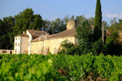 Miniature Location salle Châteauneuf-du-Pape (Vaucluse) - Espace De L'hers #5 Location salle Châteauneuf-du-Pape (Vaucluse) - Espace De L'hers #24