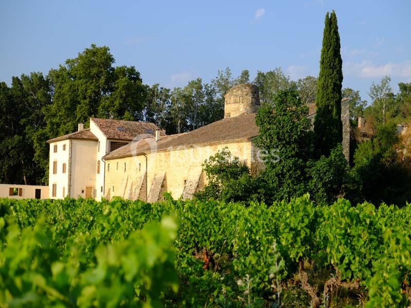 Location salle Châteauneuf-du-Pape (Vaucluse) - Espace De L'hers #5
