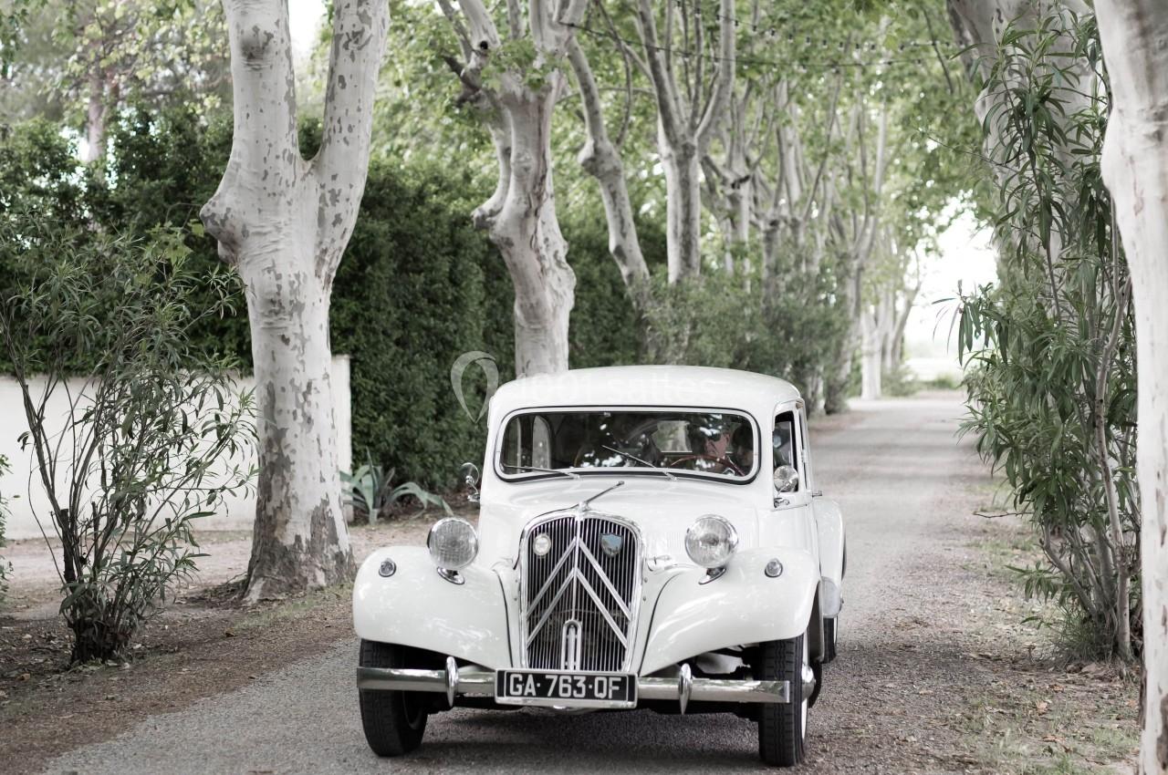 Location salle Aimargues (Gard) - Domaine Du Petit Malherbes #2