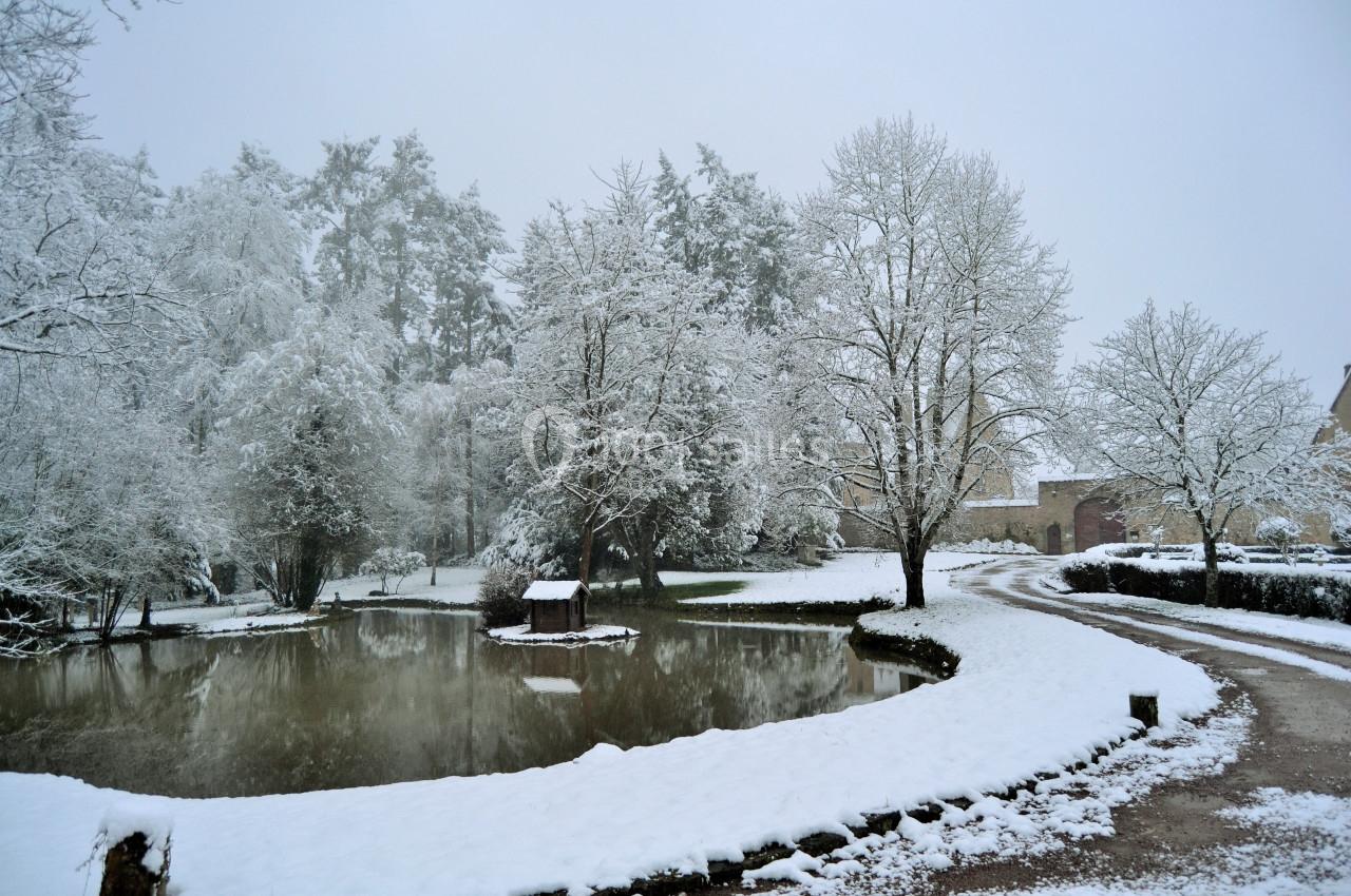 Fabuleux en hiver Étang entouré d'arbres et de chemins couverts de neige dans un paysage hivernal calme.