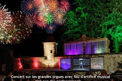 Miniature Spectacle du soir digne de Disney Une affiche décrivant une offre de mariage ’Formule Prestige’ avec détails sur services inclus et prix, sur fond décoratif…