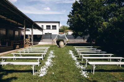 Salon lumineux avec canapé et fauteuils rayés, table basse en rotin, plante verte et grande fenêtre avec rideaux blancs.