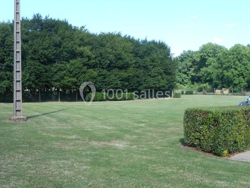 Pelouse verte entourée d'arbres et de haies, avec un poteau électrique sur la gauche et un ciel dégagé.