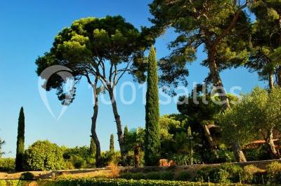 Location salle Agde (Hérault) - Domaine de Beaumont #24