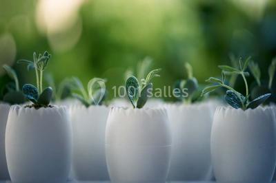 Location salle Niderviller (Moselle) - Restaurant M Niderviller #16