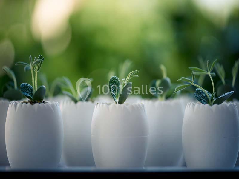 Location salle Niderviller (Moselle) - Restaurant M Niderviller #9