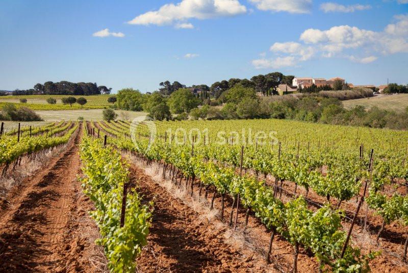 Location salle Agde (Hérault) - Domaine De Beaumont #7