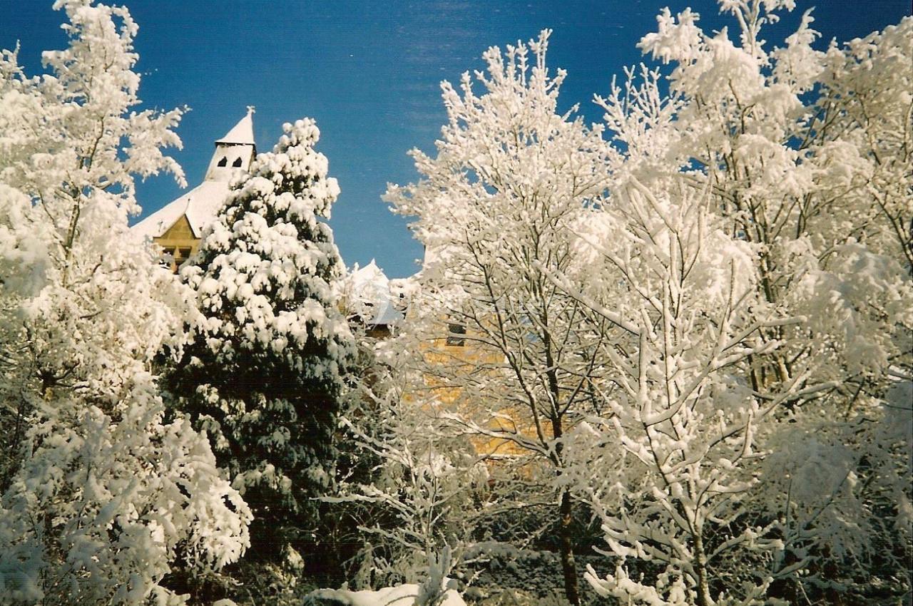 Paysage hivernal avec des arbres enneigés entourant un bâtiment à toit pointu sous un ciel bleu clair.