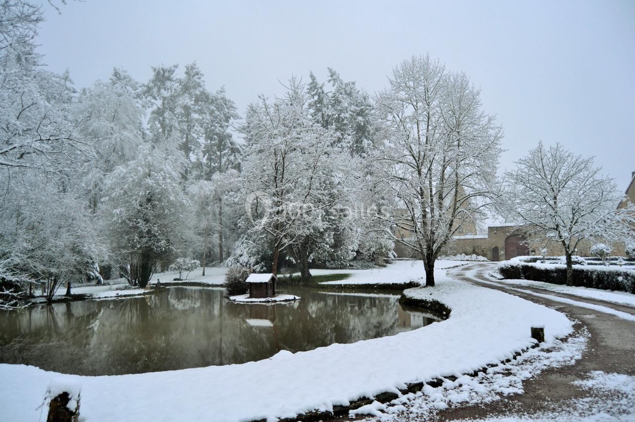 Étang entouré d'arbres et de chemins enneigés dans un paysage hivernal calme et paisible.