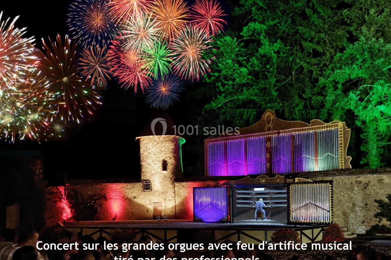 Spectacle nocturne avec grandes orgues illuminées, feu d'artifice coloré et public devant un décor historique.