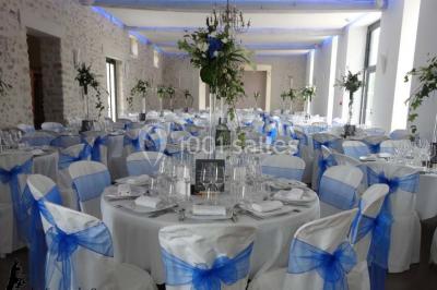 Jardin verdoyant avec pelouse bien entretenue, arbres et arbustes sous un ciel bleu dégagé.