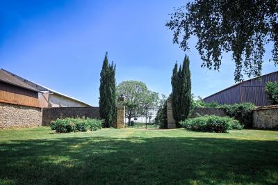 Jardin verdoyant avec pelouse bien entretenue, arbres et arbustes sous un ciel bleu dégagé.