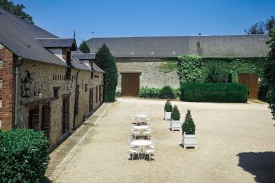 Jardin verdoyant avec pelouse bien entretenue, arbres et arbustes sous un ciel bleu dégagé.