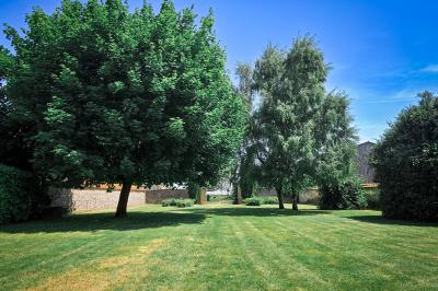 Jardin verdoyant avec pelouse bien entretenue, arbres et arbustes sous un ciel bleu dégagé.