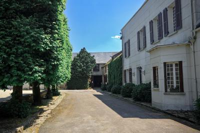 Jardin verdoyant avec pelouse bien entretenue, arbres et arbustes sous un ciel bleu dégagé.