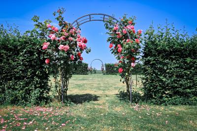 Jardin verdoyant avec pelouse bien entretenue, arbres et arbustes sous un ciel bleu dégagé.