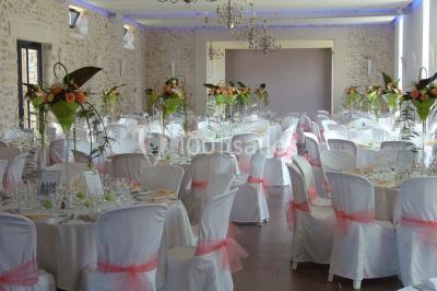 Jardin verdoyant avec pelouse bien entretenue, arbres et arbustes sous un ciel bleu dégagé.