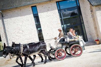 Jardin verdoyant avec pelouse bien entretenue, arbres et arbustes sous un ciel bleu dégagé.