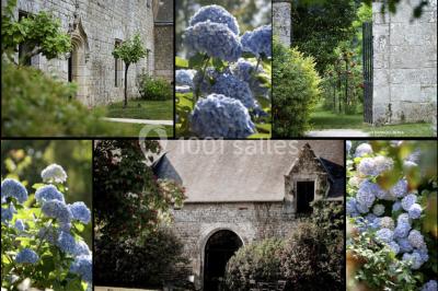 Paysages naturels avec lac entouré de forêts, sentiers boisés et ponton au bord de l'eau sous un ciel partiellement nuageux.