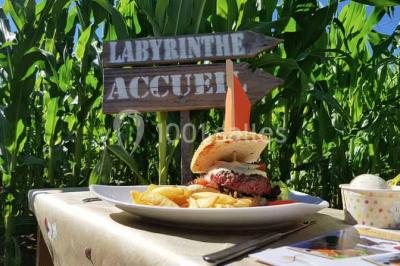 Location salle Saint-Cyr-les-Vignes (Loire) - Auberge De La Sauzée #19