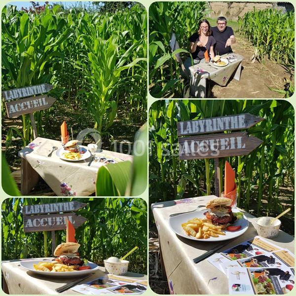 Location salle Saint-Cyr-les-Vignes (Loire) - Auberge De La Sauzée #15