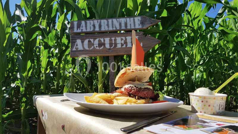 Location salle Saint-Cyr-les-Vignes (Loire) - La Sauzée #15