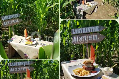 Location salle Saint-Cyr-les-Vignes (Loire) - La Sauzée #15