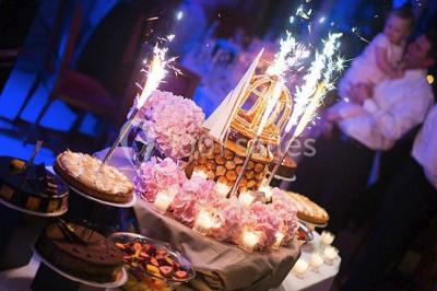 Location salle Ostwald (Bas-Rhin) - Château De L'ile #17