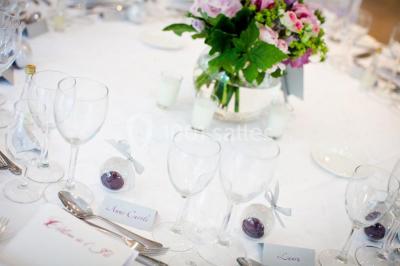 Location salle Ostwald (Bas-Rhin) - Château De L'ile #17