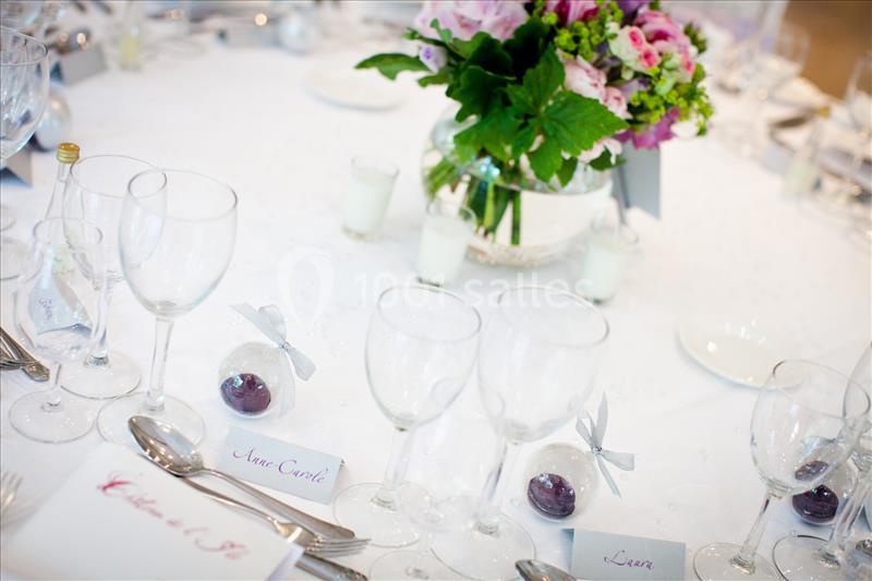 Location salle Ostwald (Bas-Rhin) - Château De L'ile #10