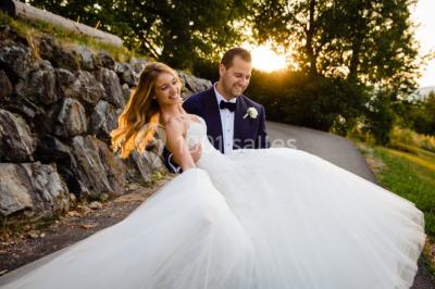 Vue aérienne d'un domaine entouré de verdure, avec des montagnes en arrière-plan sous un ciel dégagé.