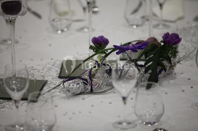 Location salle Romegoux (Charente-Maritime) - Atlantique Gîtes et Salle de Réception #22