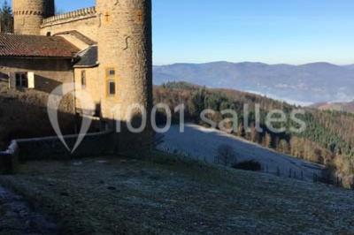 Location salle Craponne (Rhône) - Château de Saint Bonnet Le Froid #18