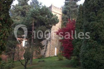 Location salle Craponne (Rhône) - Château de Saint Bonnet Le Froid #18