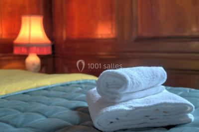 Location salle Craponne (Rhône) - Château de Saint Bonnet Le Froid #18