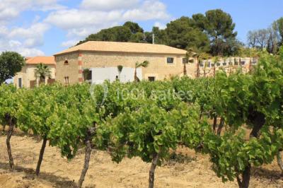 Location salle Magalas (Hérault) - Le Mas De Laux #13